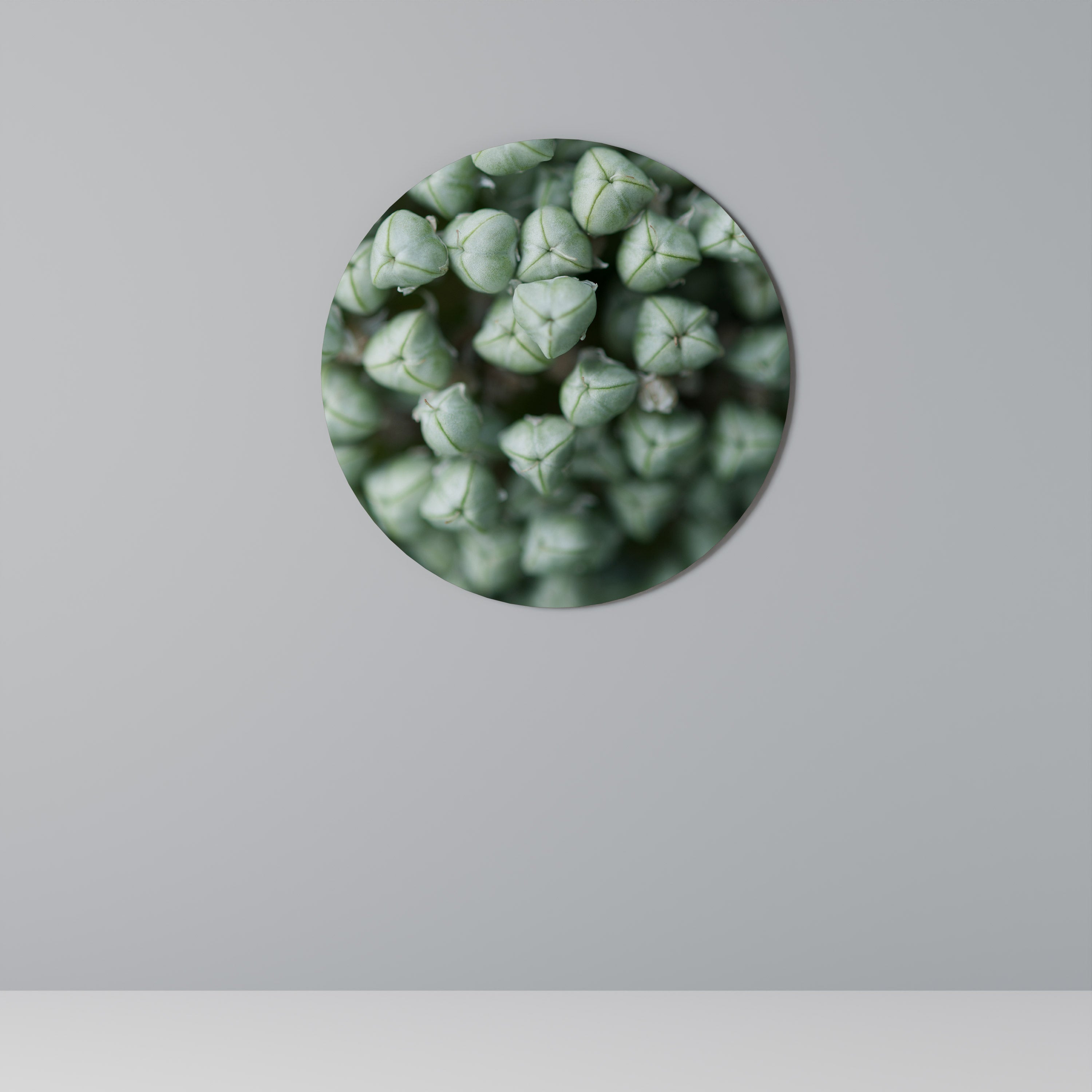 TEXTURERADE GRÖNA SMÅBITAR Rund väggdekoration