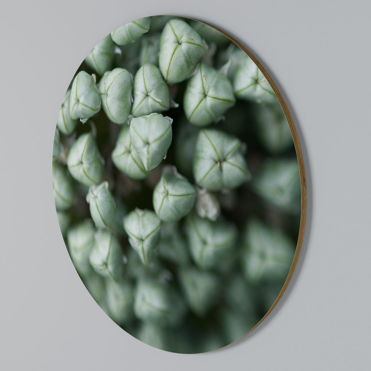 TEXTURED GREEN TIDBITS Rund väggdekor