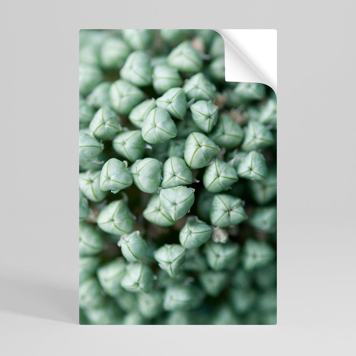 TEXTURED GREEN TIDBITS Självhäftande Vertikal Poster