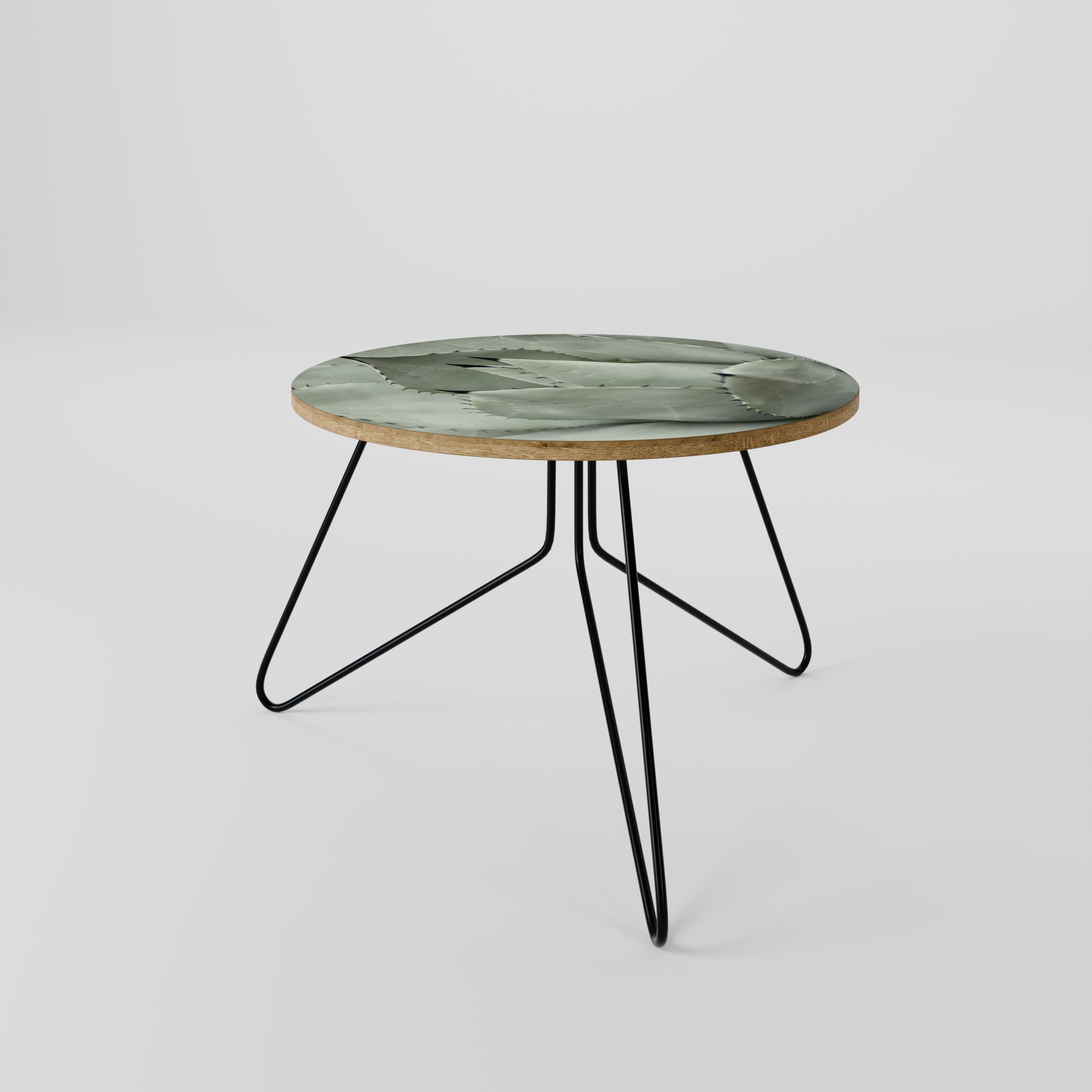 MYSTICAL SUCCULENT DREAM Coffee Table