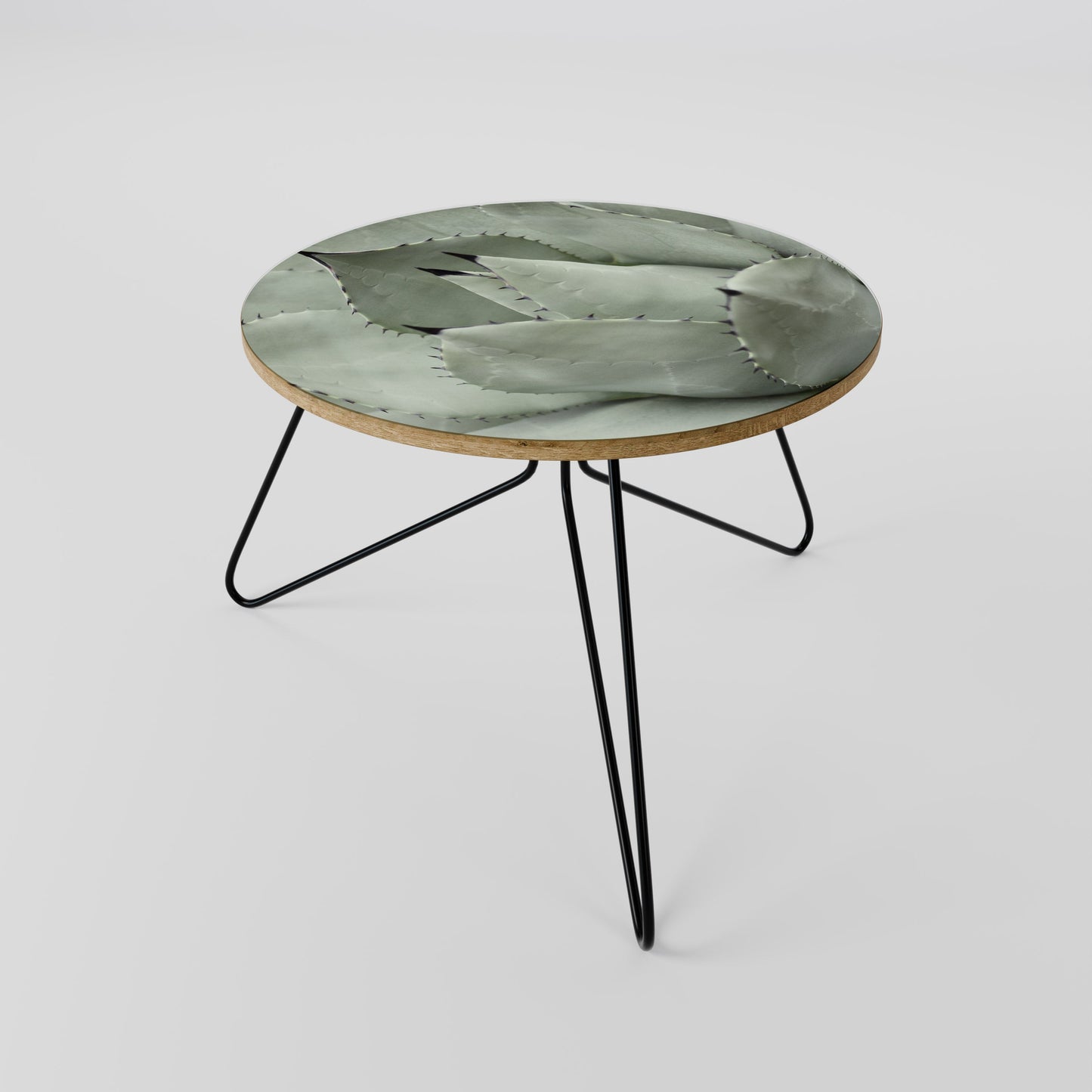 MYSTICAL SUCCULENT DREAM Coffee Table 60