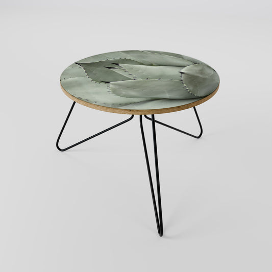 MYSTICAL SUCCULENT DREAM Coffee Table 60