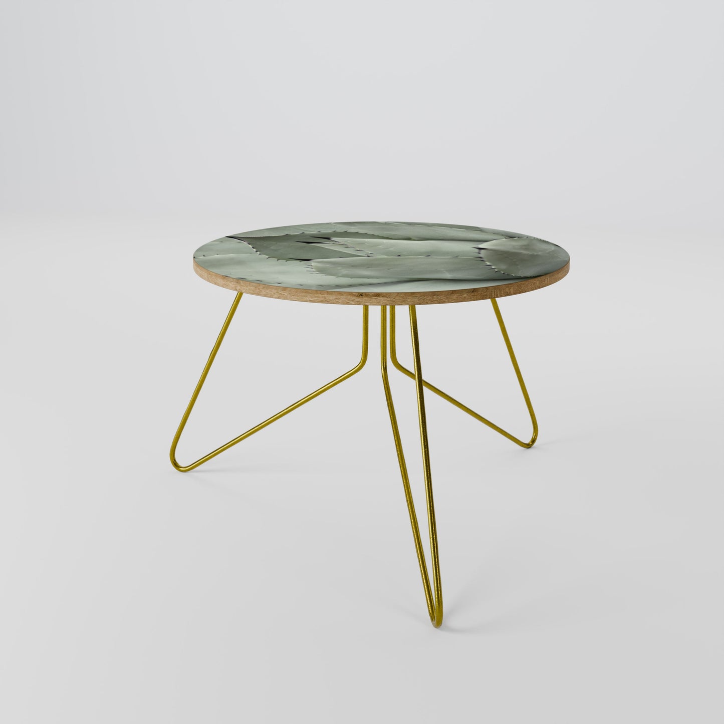 MYSTICAL SUCCULENT DREAM Coffee Table 60