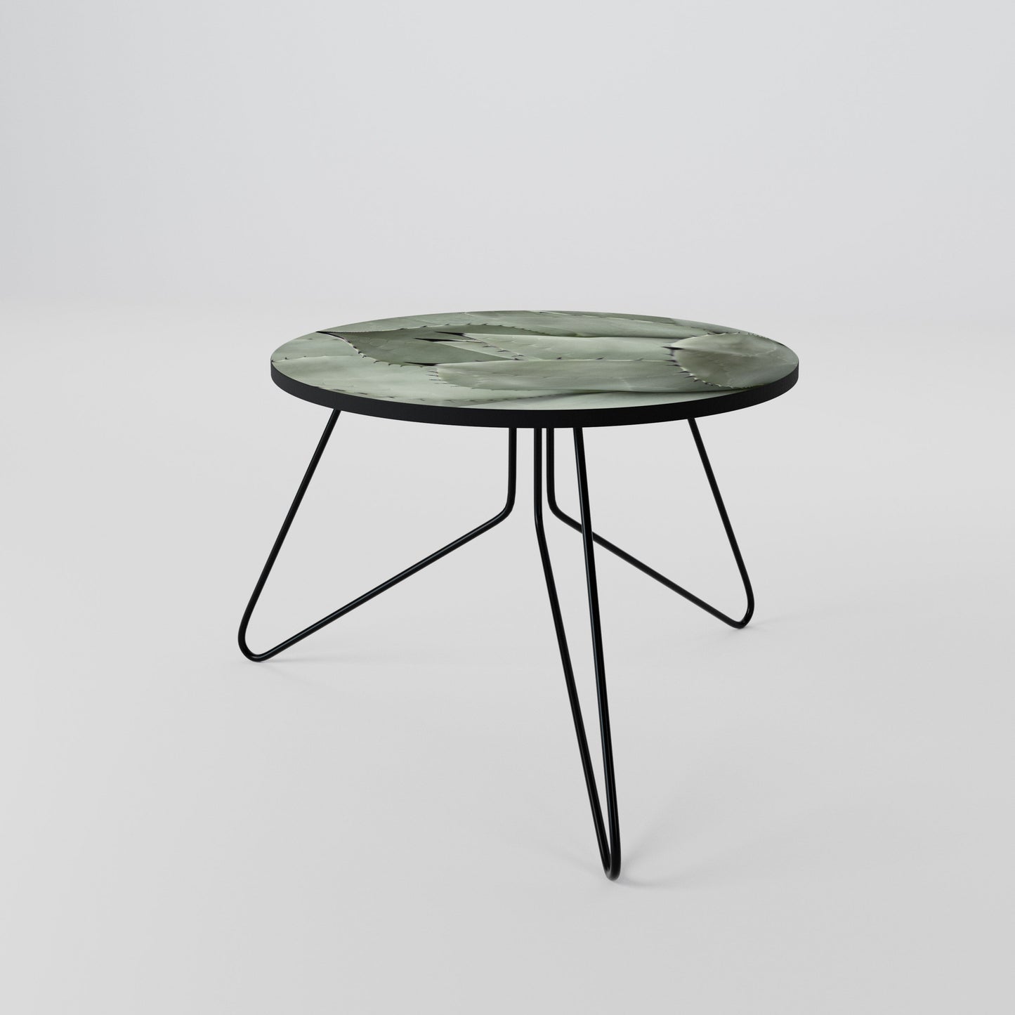 MYSTICAL SUCCULENT DREAM Coffee Table 60