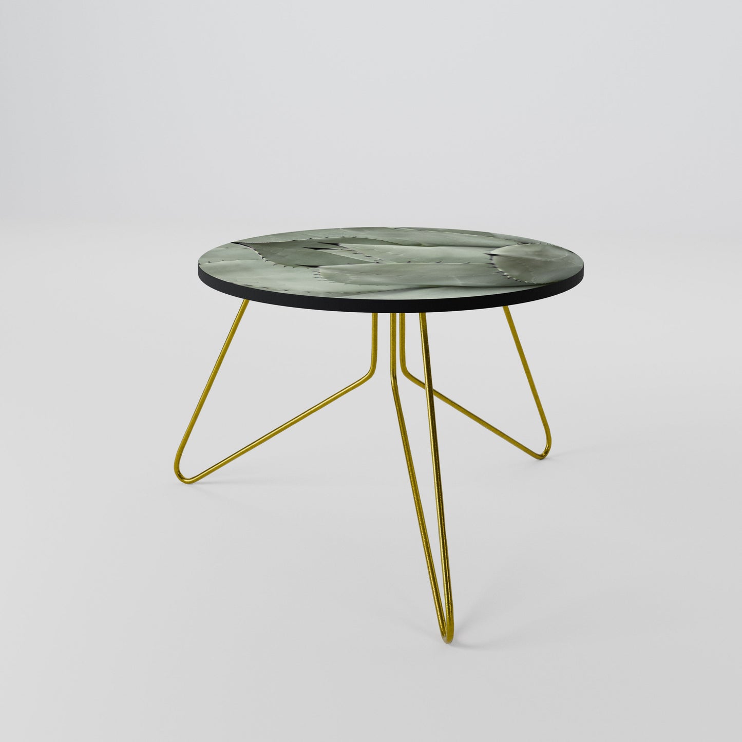 MYSTICAL SUCCULENT DREAM Coffee Table 60