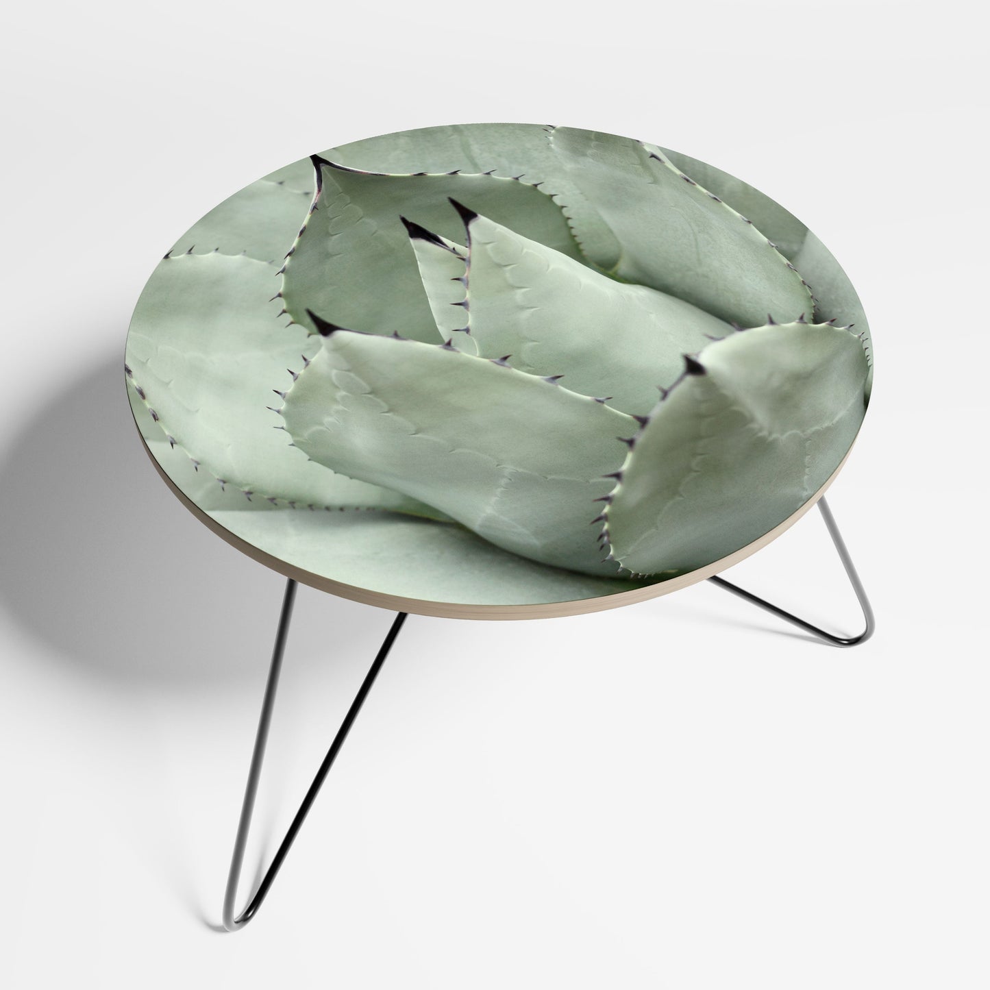 MYSTISK SUCCULENTDRÖM Soffbord 69