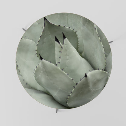 MYSTISK SUCCULENTDRÖM Soffbord 69