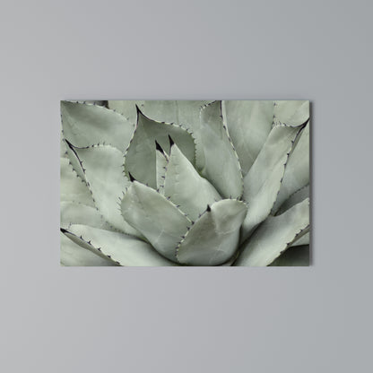 MYSTICAL SUCCULENT DREAM Horizontal Canvas Print