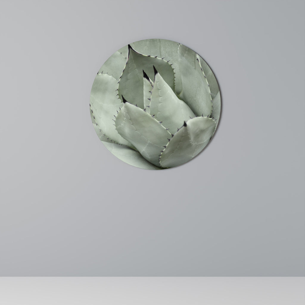 MYSTISK SUCCULENTDRÖM Rund Väggkonst