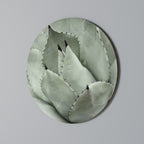MYSTICAL SUCCULENT DREAM Round Wall Art