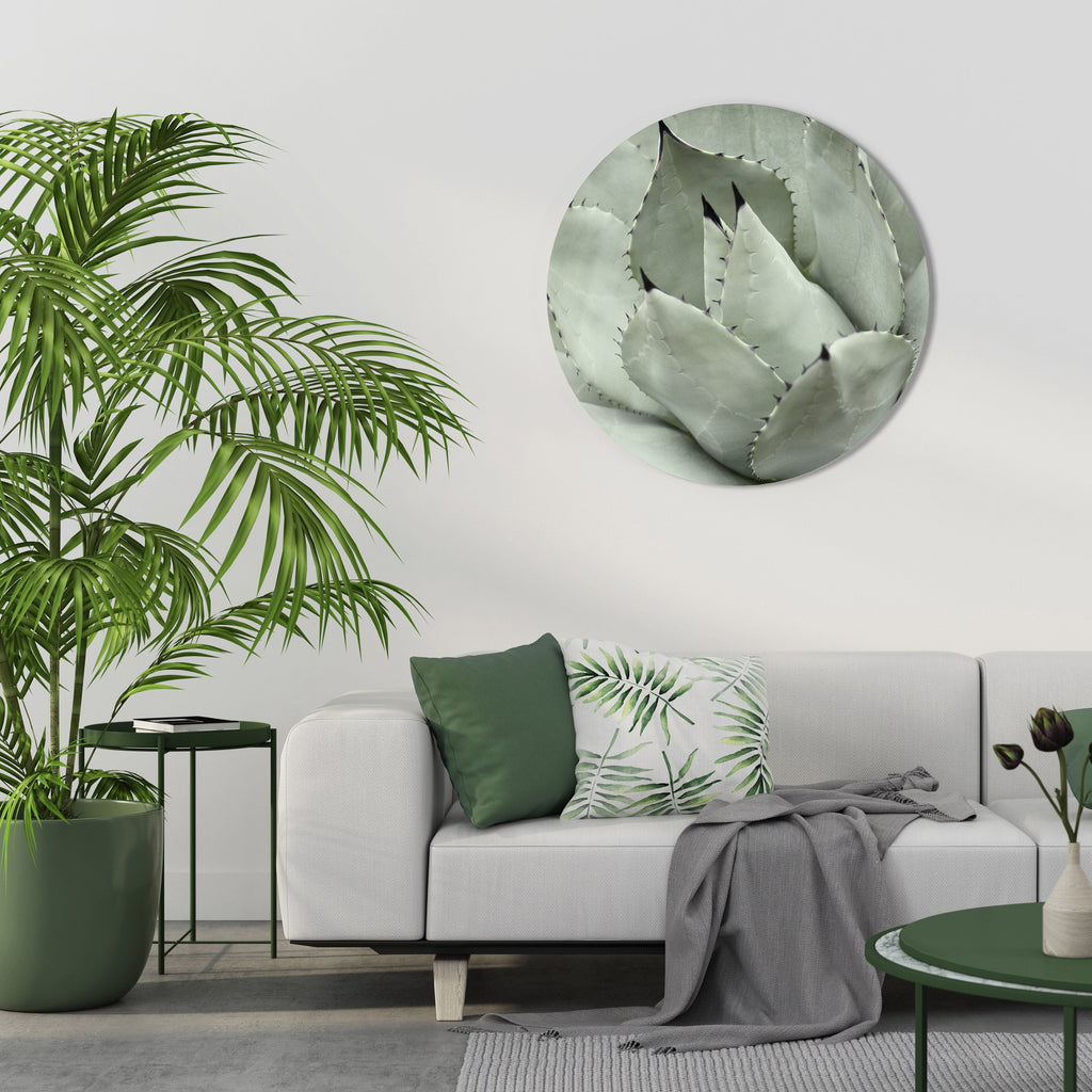 MYSTISK SUCCULENTDRÖM Rund Väggkonst