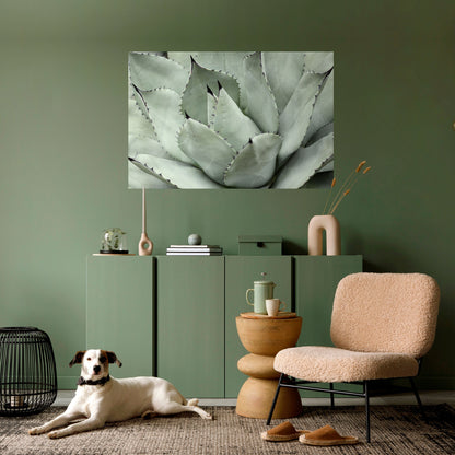 MYSTICAL SUCCULENT DREAM Peel and Stick Horizontal Poster