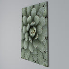 SUCCULENT SYMMETRY Vertical Canvas Print
