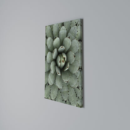 SUCCULENT SYMMETRY Vertical Canvas Print