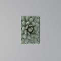 SUCCULENT SYMMETRY Vertical Canvas Print