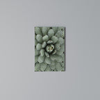 SUCCULENT SYMMETRY Vertical Canvas Print