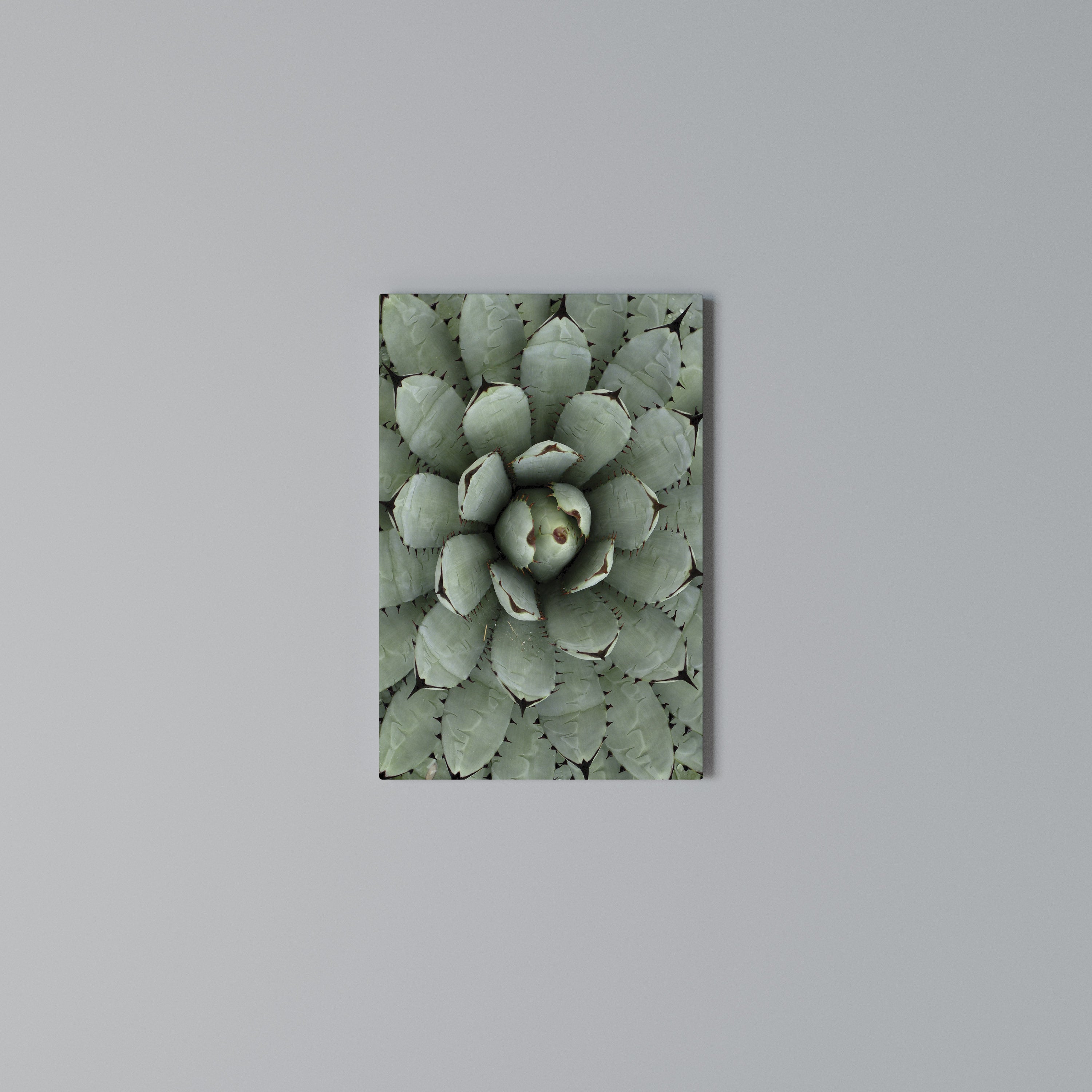 SUCCULENT SYMMETRY Vertical Canvas Print