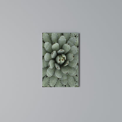 SUCCULENT SYMMETRY Vertical Canvas Print