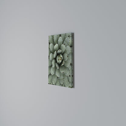 SUCCULENT SYMMETRY Vertical Canvas Print