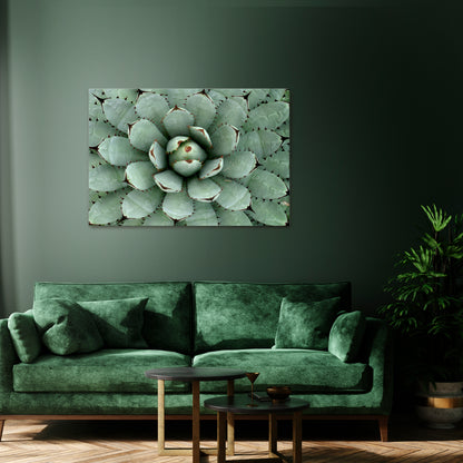 SUCCULENT SYMMETRY Horizontal Canvas Print