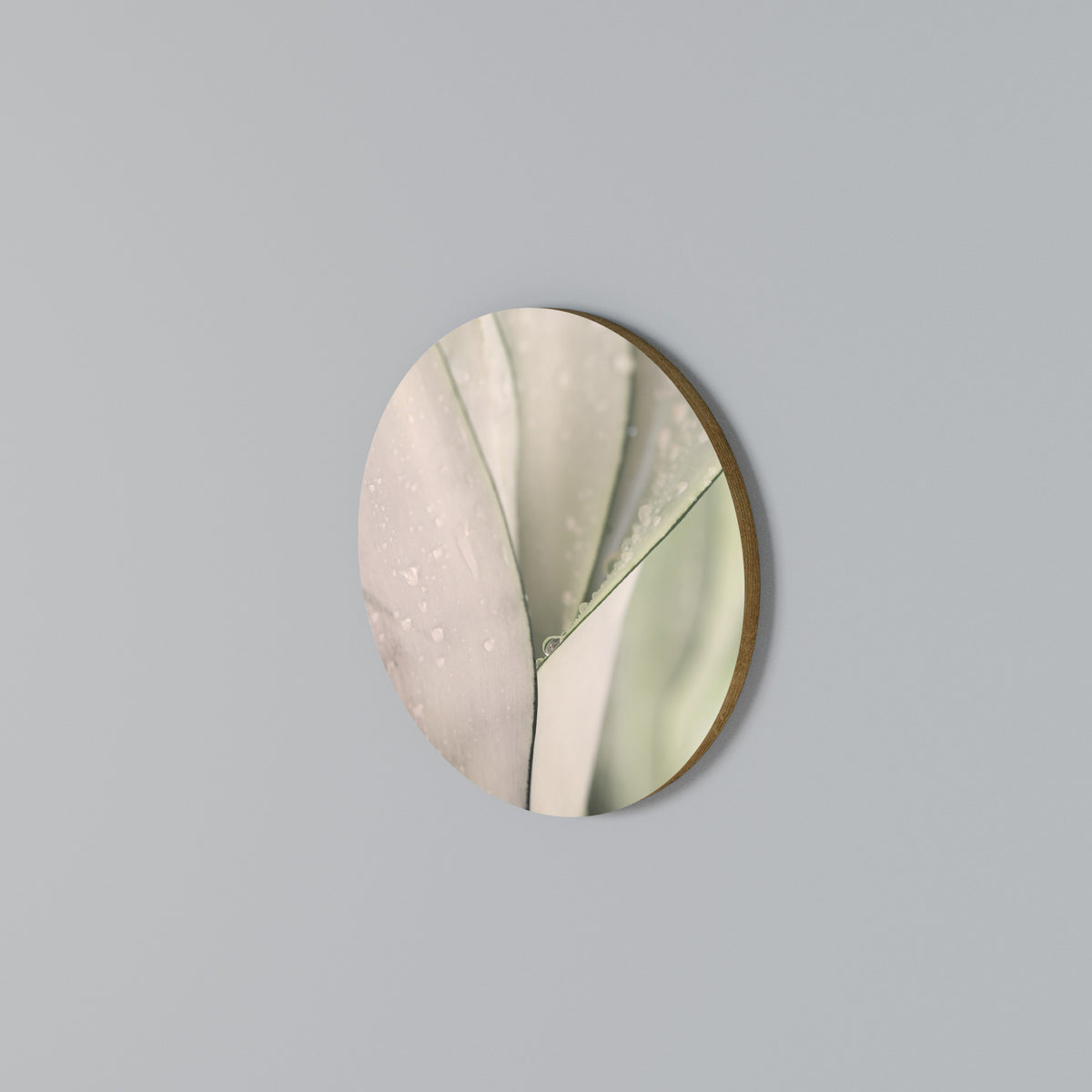 NATURE'S TAPESTRY Rund väggdekor