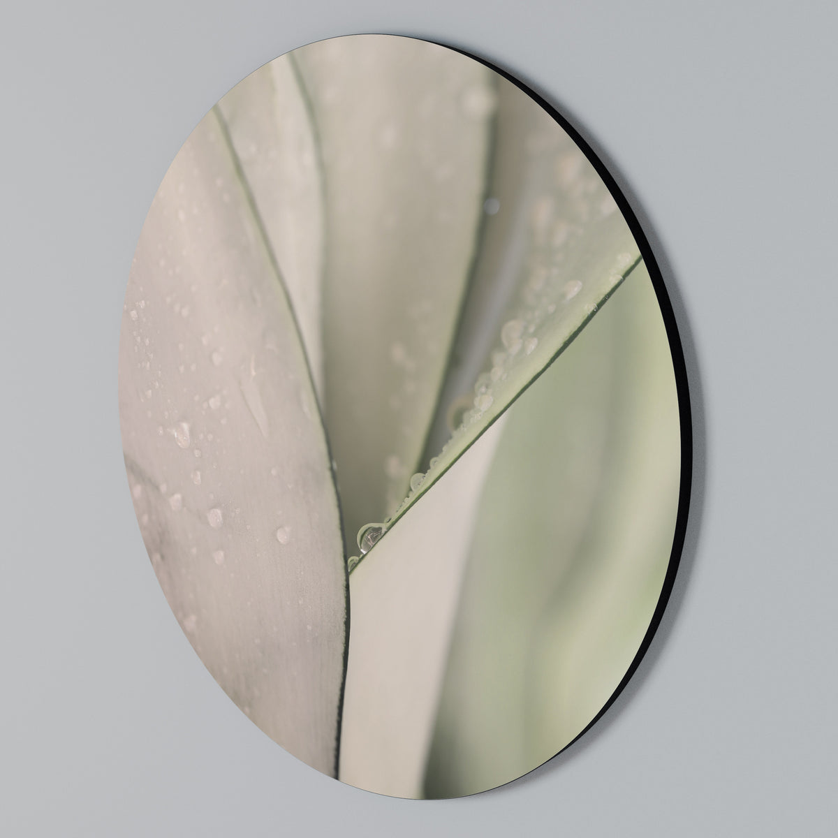 NATURE'S TAPESTRY Rund väggdekor