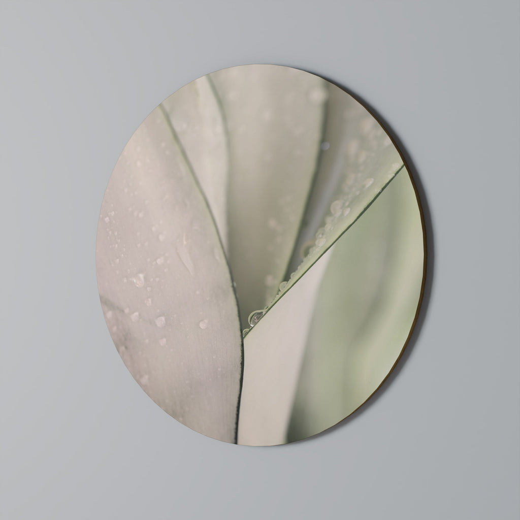 NATURENS GOBEÄN Rund Väggkonst