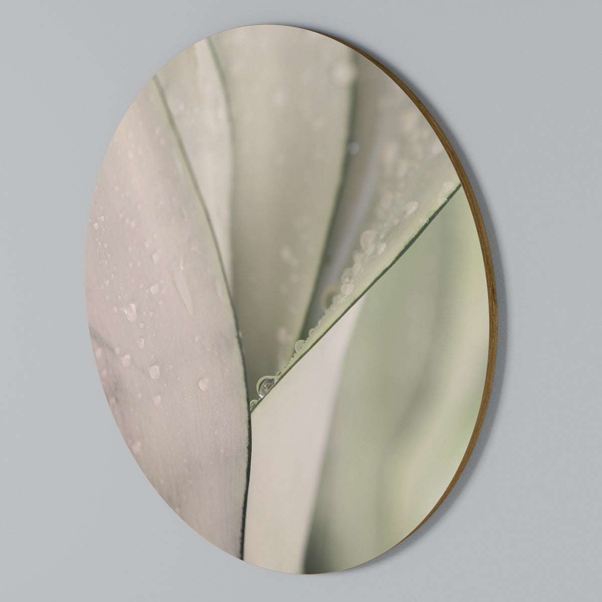 NATURE'S TAPESTRY Rund väggdekor