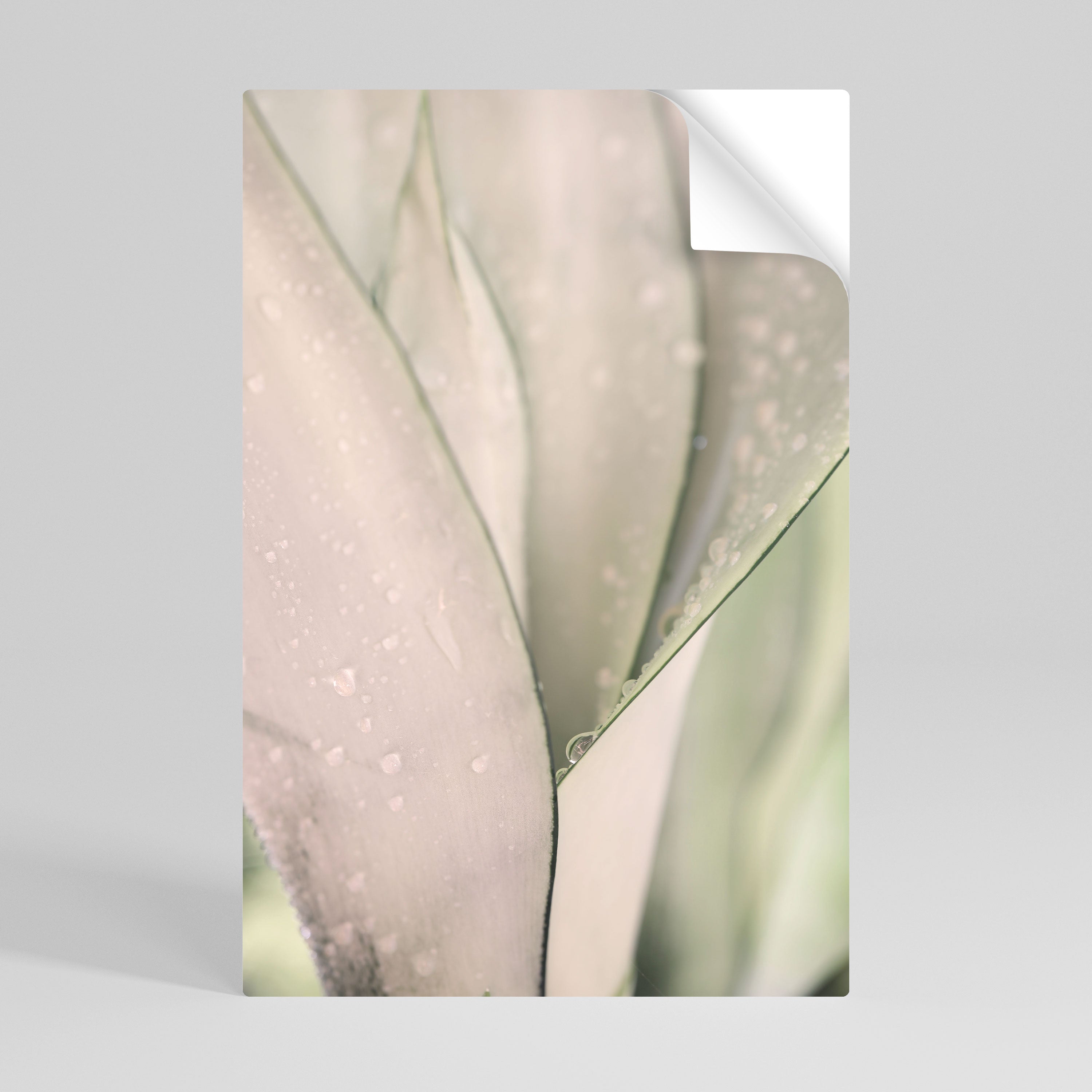 NATURE'S TAPESTRY Självhäftande Vertikal Poster