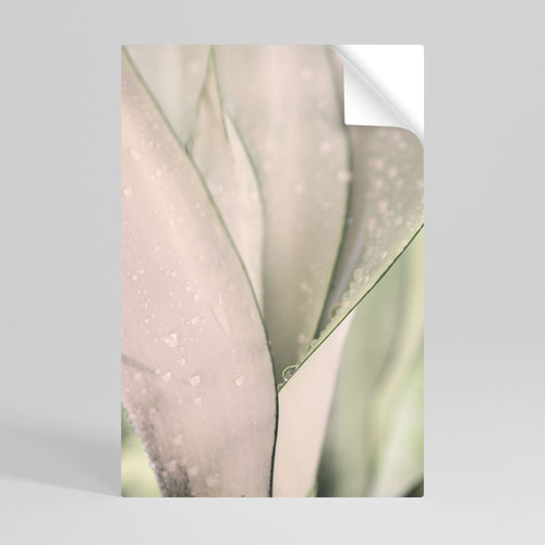 NATURE'S TAPESTRY Peel and Stick Vertical Poster