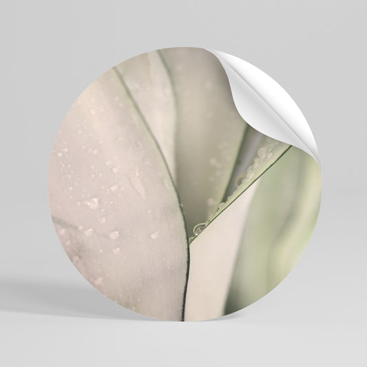 NATURE'S TAPESTRY Peel and Stick Round Sticker