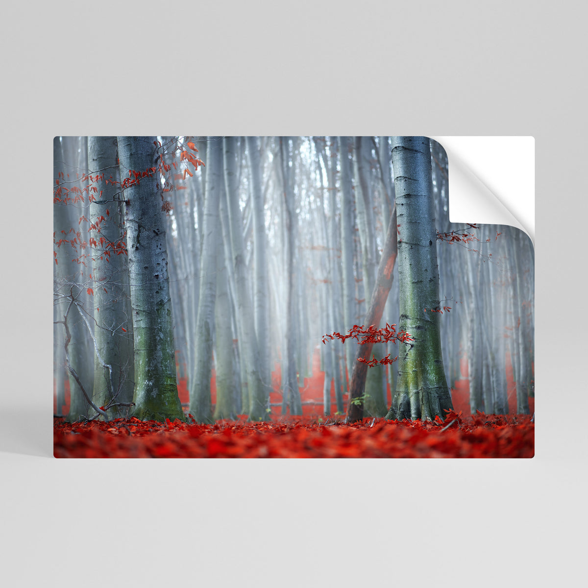 TRANQUIL RED ELEGANCE Självhäftande Horisontell Poster