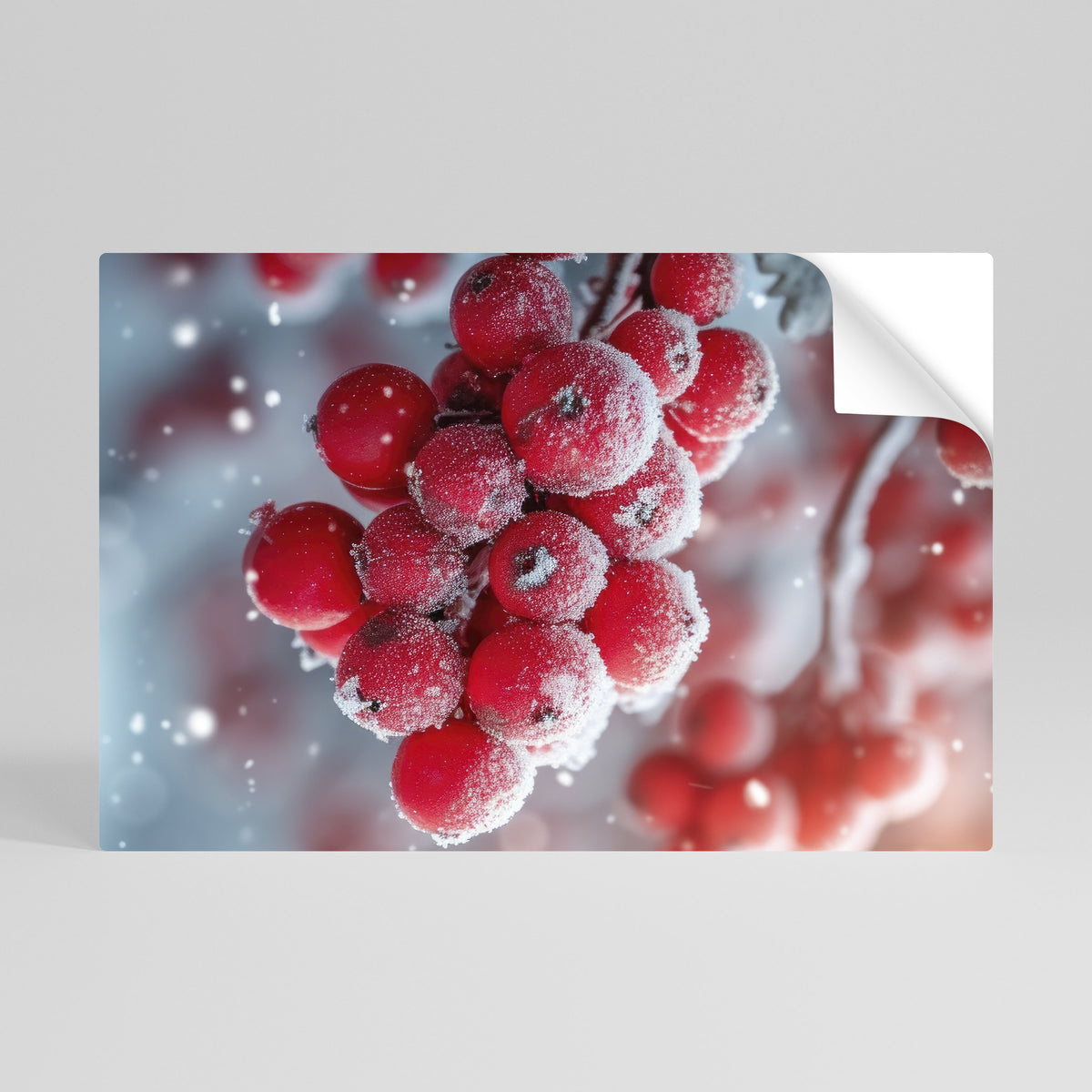 WINTER'S CRIMSON TREASURES Självhäftande Horisontell Poster