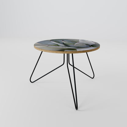 AGAVE ELEGANCE Soffbord 60