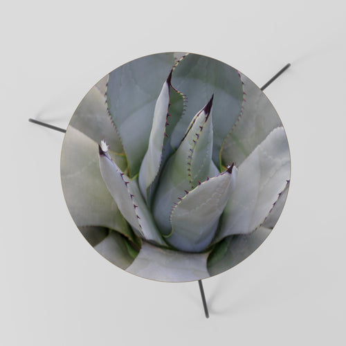 AGAVE ELEGANCE Soffbord 60
