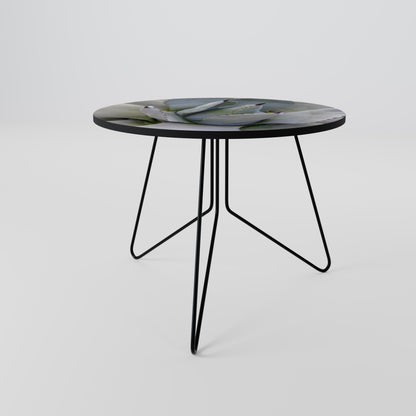 AGAVE ELEGANCE Soffbord 69