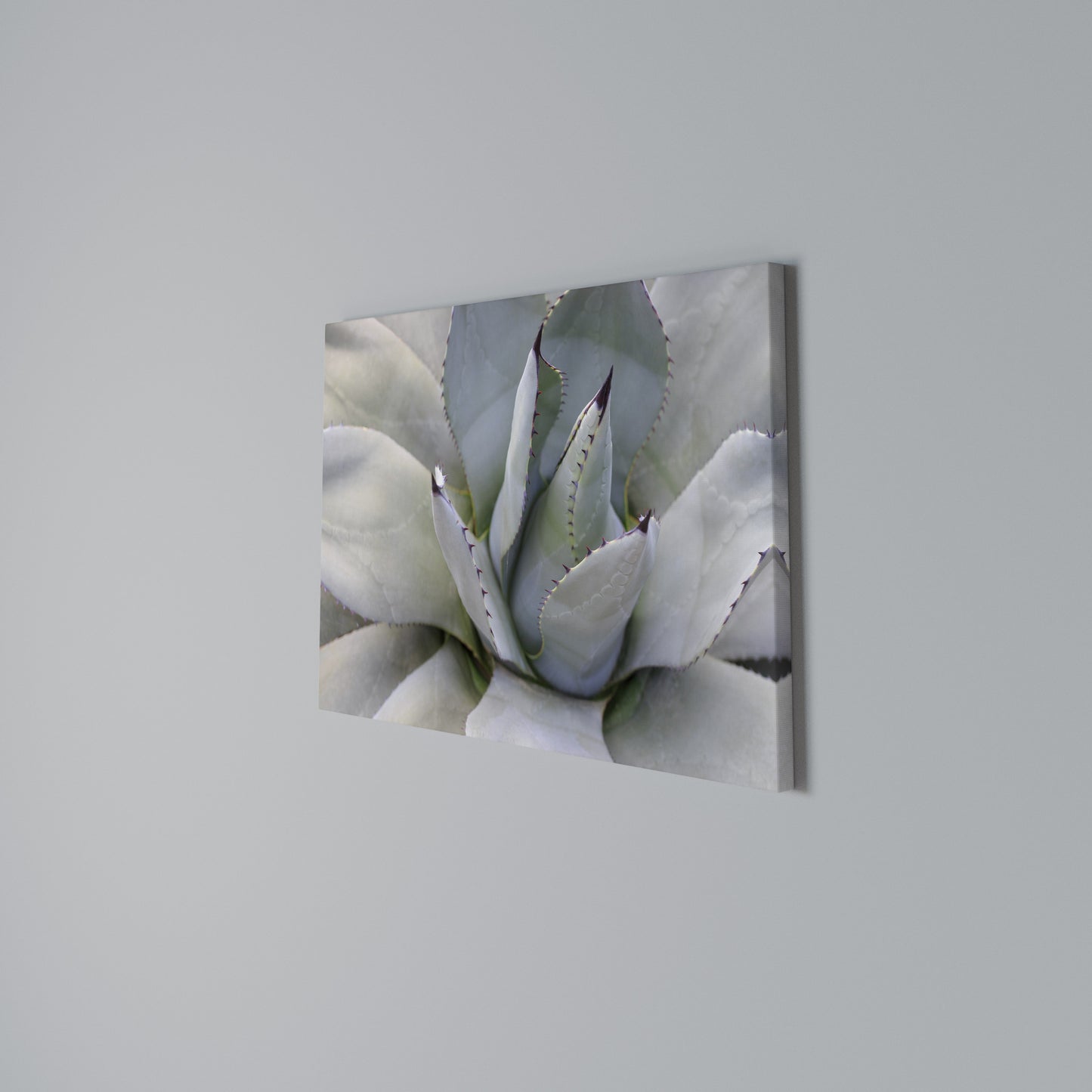 AGAVE ELEGANCE Horizontal Canvas Print