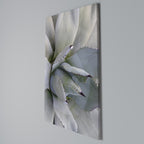 AGAVE ELEGANCE Vertical Canvas Print