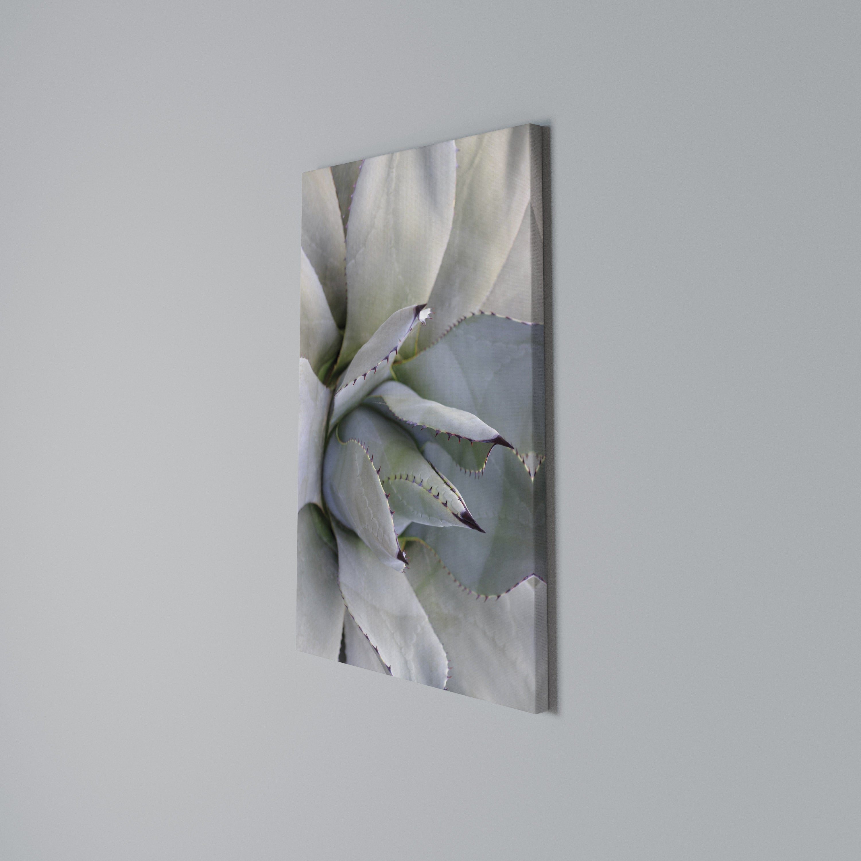 AGAVE ELEGANCE Vertical Canvas Print
