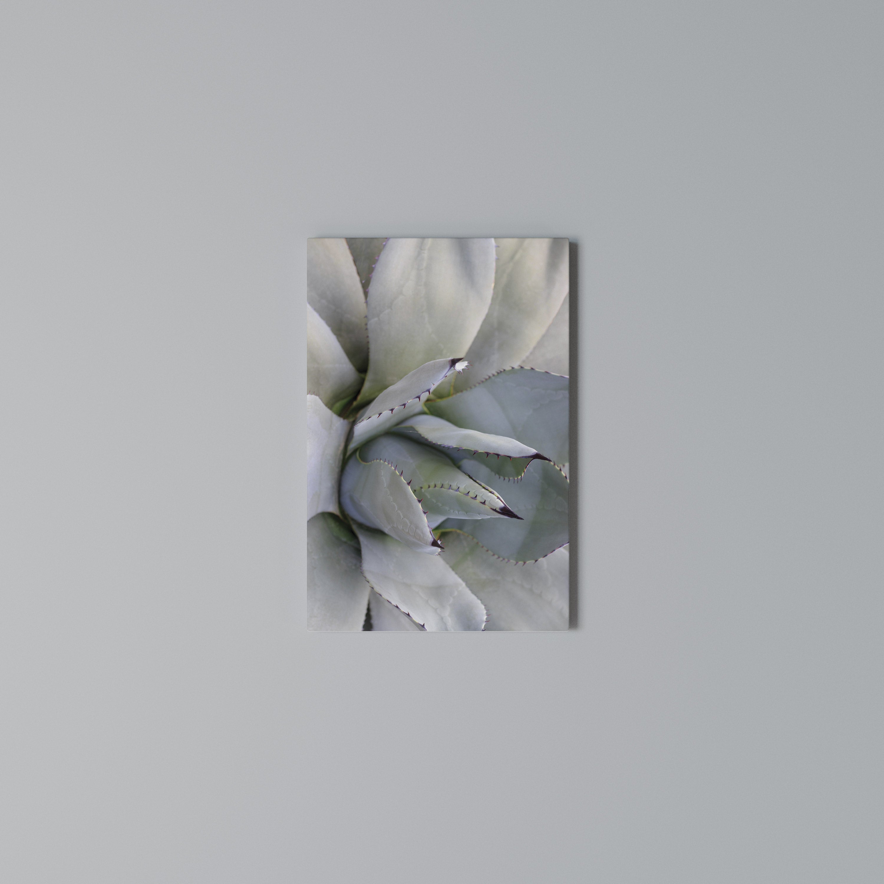 AGAVE ELEGANCE Vertical Canvas Print