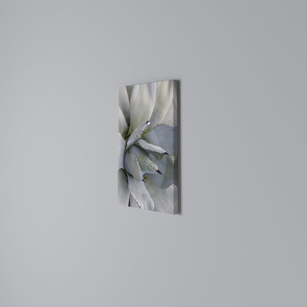 AGAVE ELEGANCE Vertical Canvas Print