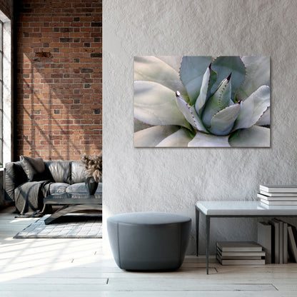 AGAVE ELEGANCE Horizontal Canvas Print