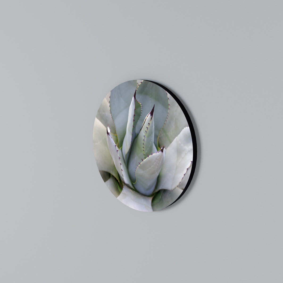 AGAVE ELEGANCE Rund väggdekor