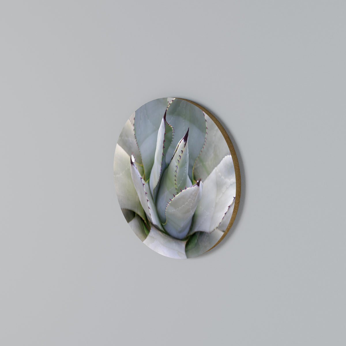 AGAVE ELEGANCE Rund väggdekor