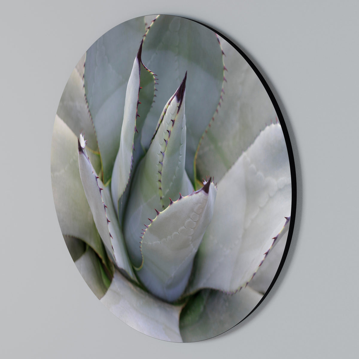 AGAVE ELEGANCE Rund väggdekor