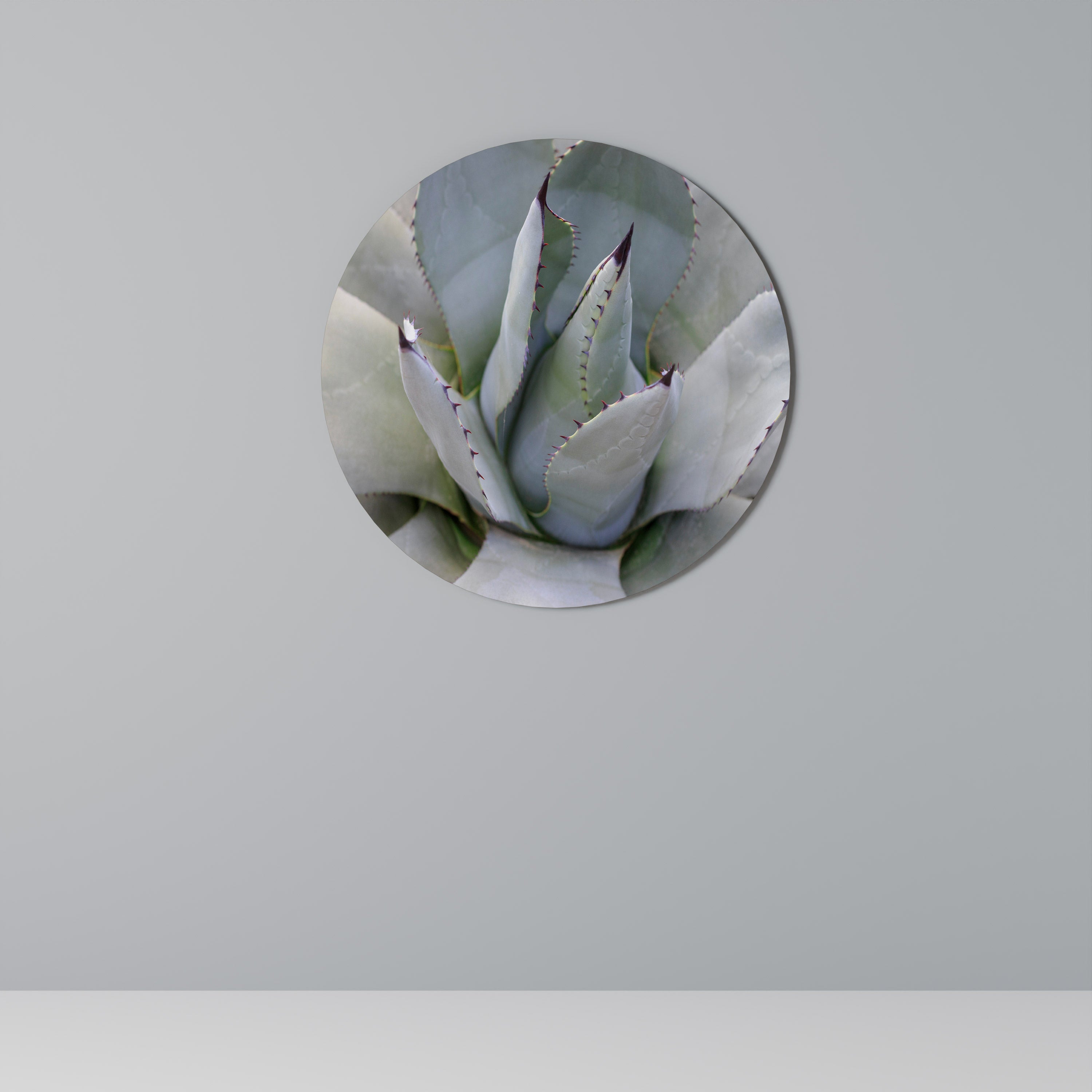 AGAVE ELEGANCE Rund Väggdekoration