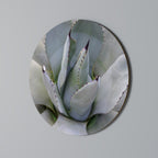 AGAVE ELEGANCE Rund Väggdekoration