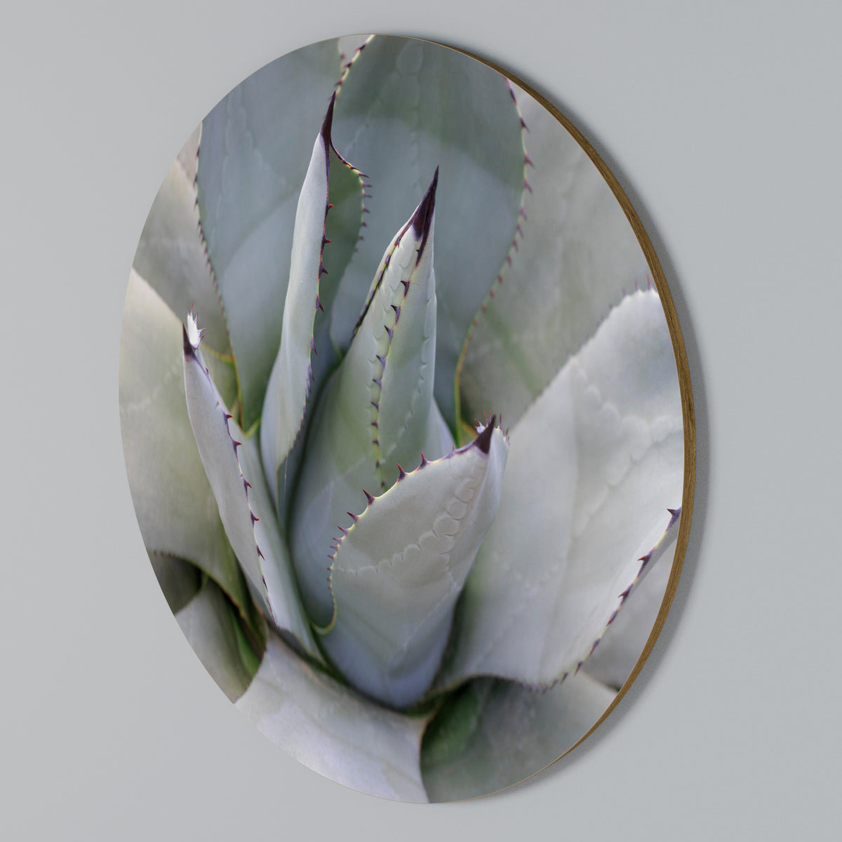 AGAVE ELEGANCE Rund väggdekor