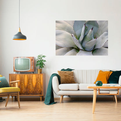 AGAVE ELEGANCE Horisontell Poster med självhäftande motiv