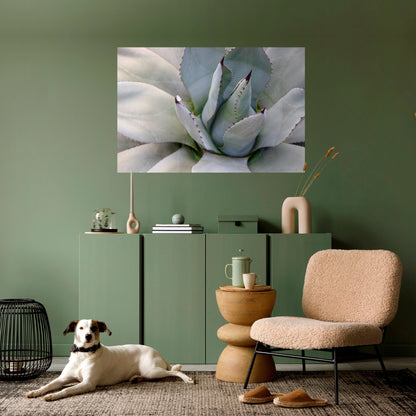AGAVE ELEGANCE Horisontell Poster med självhäftande motiv